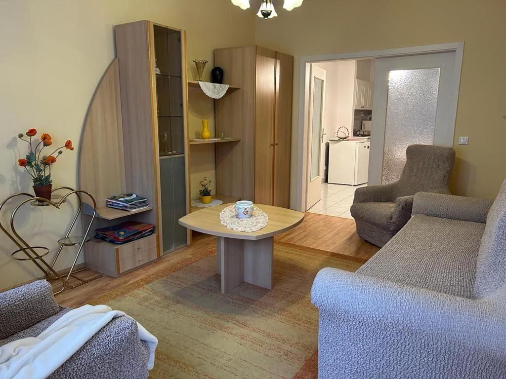 Rehab Apartment Хевиз Экстерьер фото